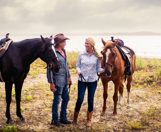 Haig Point Horses