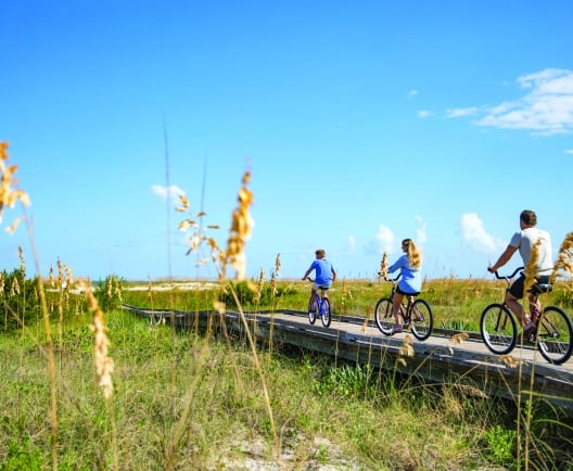people biking on a trail