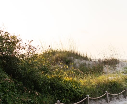 Path to beach