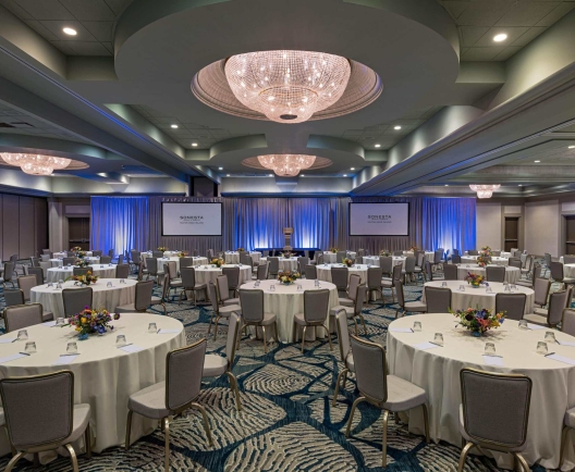 Sonesta Resort Meeting Space