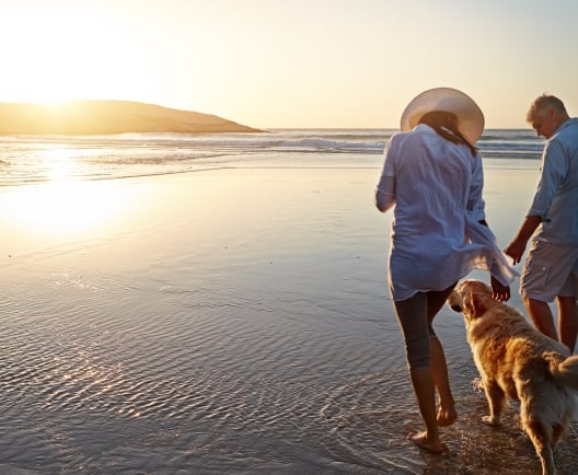 A couple walks along the beach at sunset with their dog