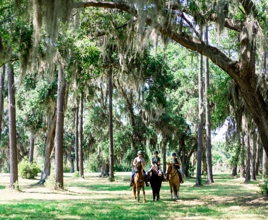people riding horses