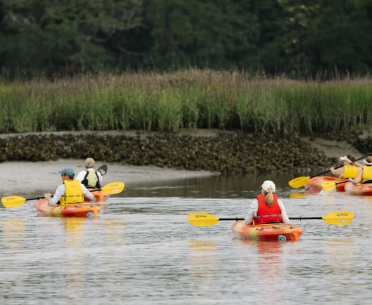 Group of Kayakers 