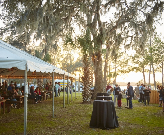 Festival