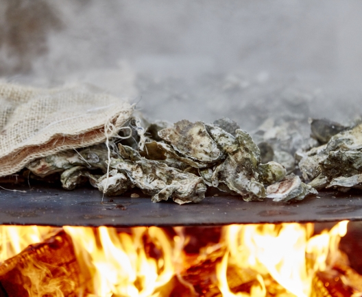 Oyster cooking over fire 