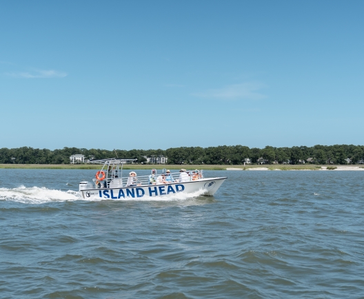 dolphin tour boat