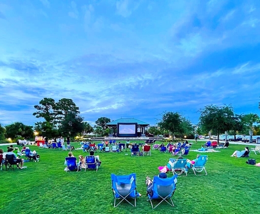 Movie Nights in the Park