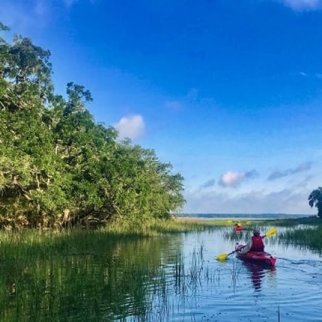 kayaks on water