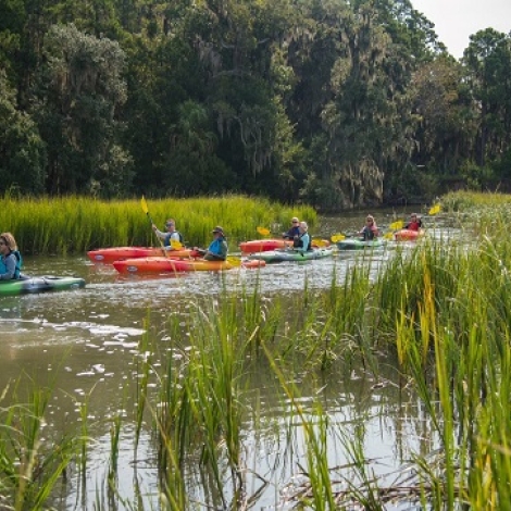 kayaks