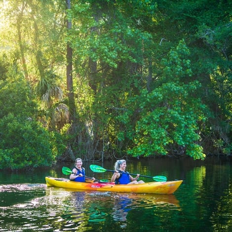 people kayaking