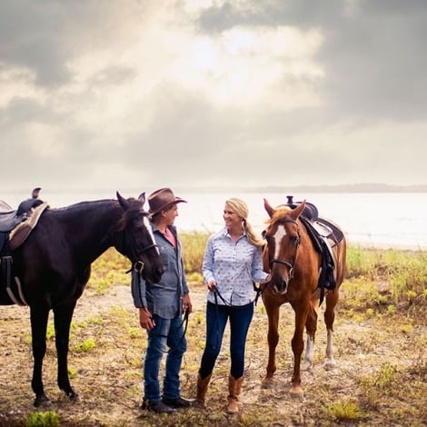 Haig Point Horses