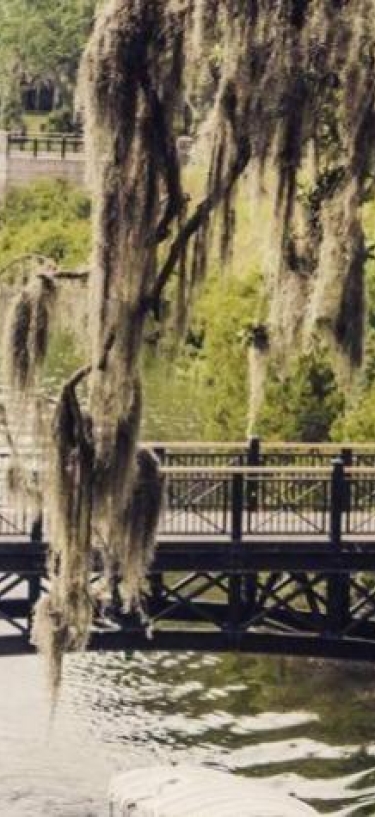 bridge