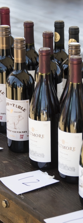 Wine and Food