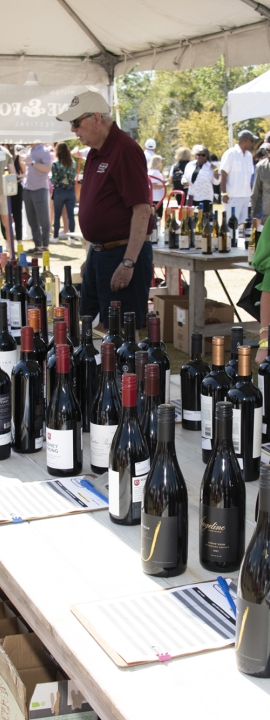 Wine and Food