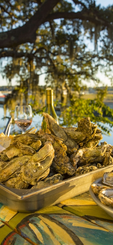 Table setting with oysters and wine