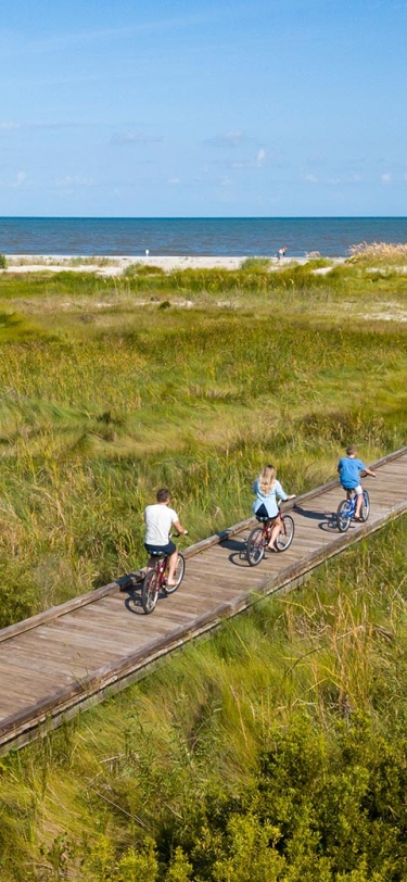 people biking down a pathway towards the beach