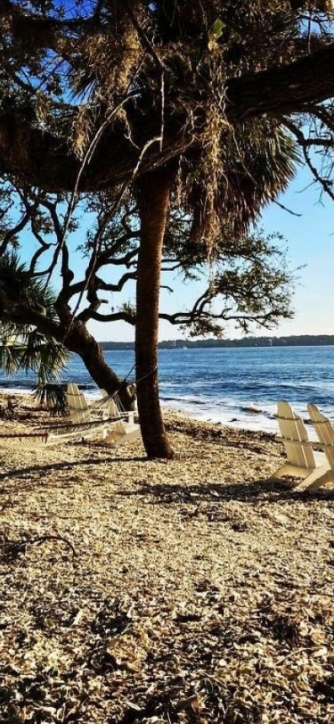 Image of beach and beach chairs