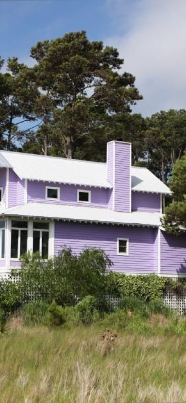 Purple house