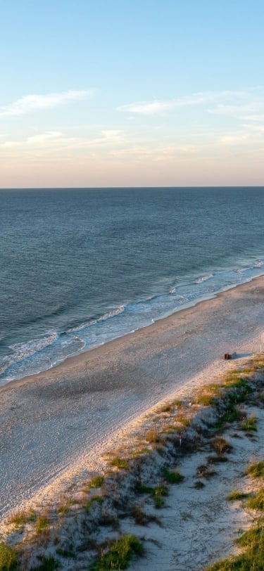 Aerial Beach Shot