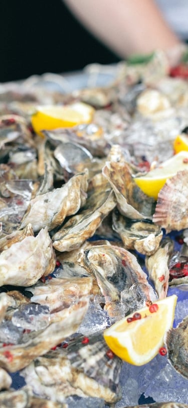 oysters and lemon garnish