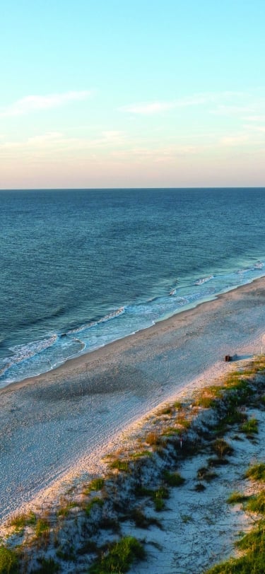 aerial shot of beach 