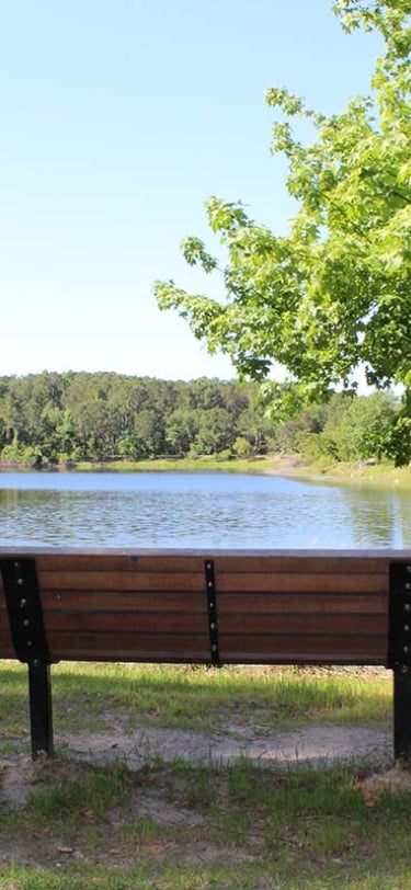 bench