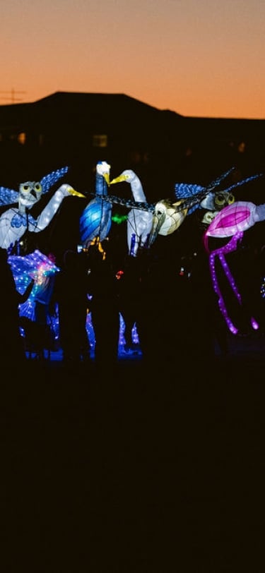 lantern parade