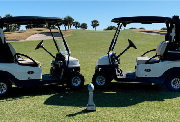 Palmetto Dunes