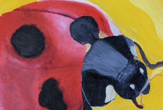 The student art show will run Feb. 5-March 3 with an opening reception from 3-5 p.m. Feb. 11