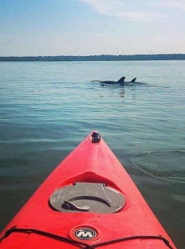 kayak