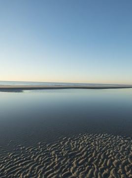 beach at lowtide