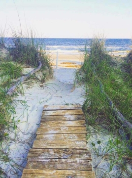 @alisavage_ - beach.