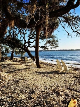 Image of beach and beach chairs