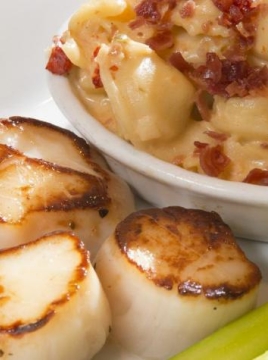 scallops and noodle dish