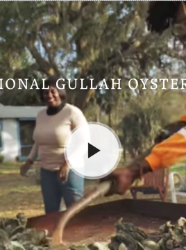 Traditional gullah Oyster roast