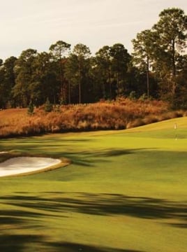 Hilton Head National fairway