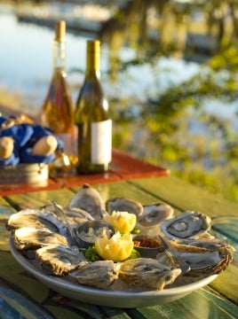 oysters on a plate