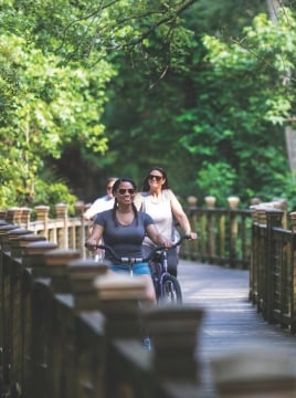 people riding bikes