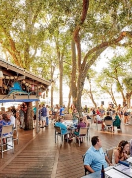 groups of people dining outdoors