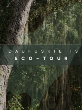 Cover photo for Daufuskie Island Eco Tour