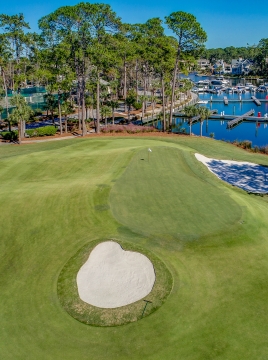aerial view of a golf green