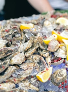 oysters and lemon garnish
