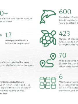 sustainability infographic