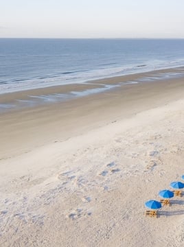 aerial shot of beach with umbrellas