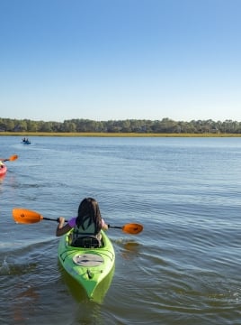 people out kayaking on a sunny day