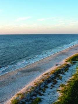 aerial shot of beach 