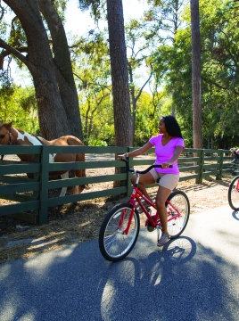 couple biking past horses