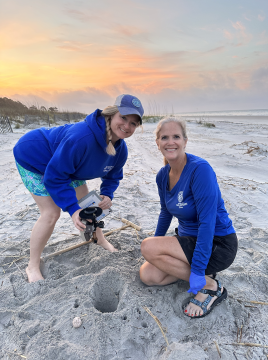 sea turtle patrol working on beach