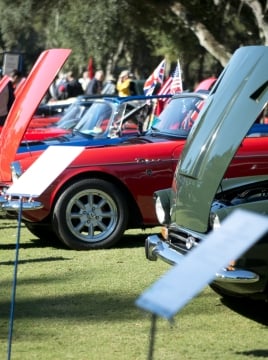 concours hoods up showcase