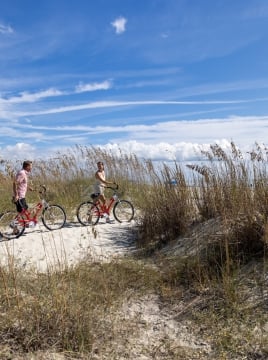 people walking bikes to the beach